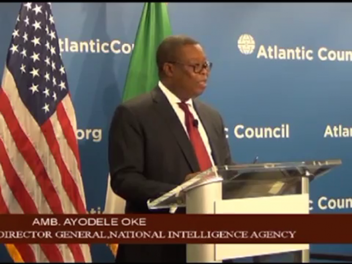 Image result for Director - General of the National Intelligence Agency , Amb . Ayodele Oke,