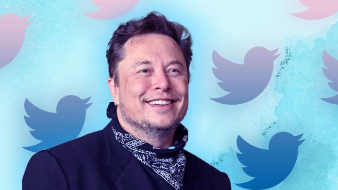 Elon-Musk-Puts-Twitter-Deal-on-Hold