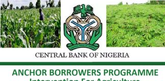 CBN Anchor Borrowers Programme